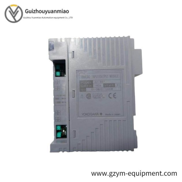 YOKOGAWA AAI841-H03 S1 Analog Input/Output Module